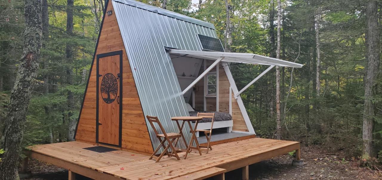 La Cabane Secrète Matane Extérieur photo