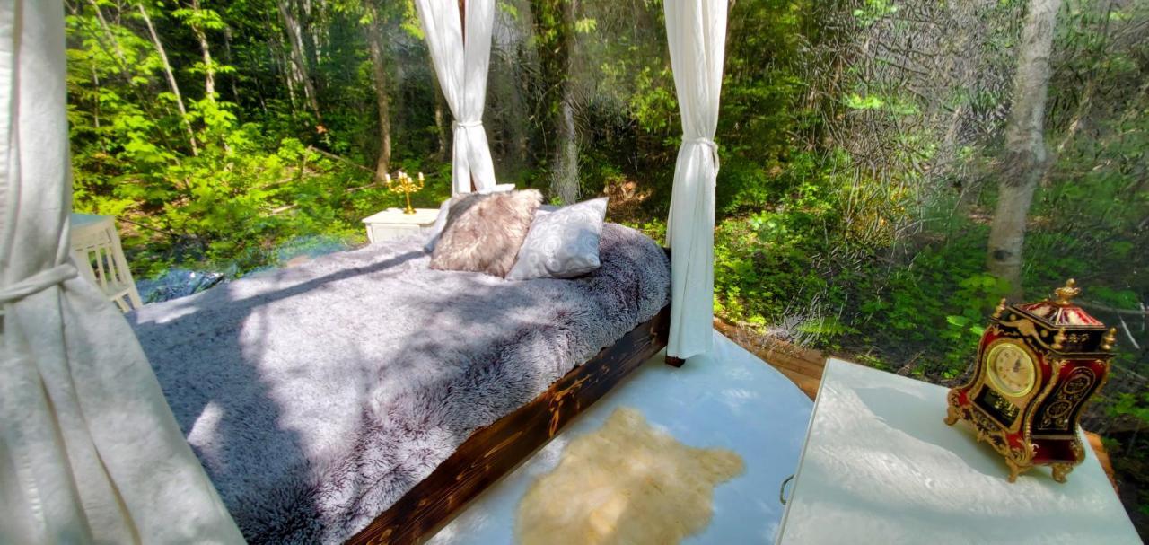 La Cabane Secrète Matane Extérieur photo