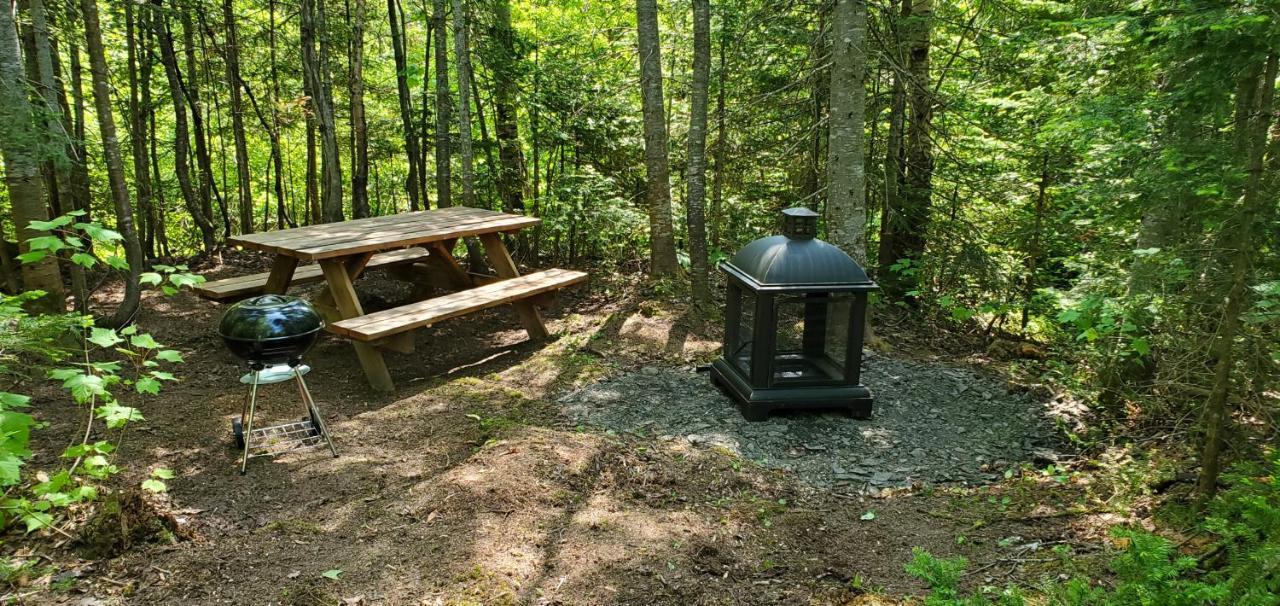 La Cabane Secrète Matane Extérieur photo